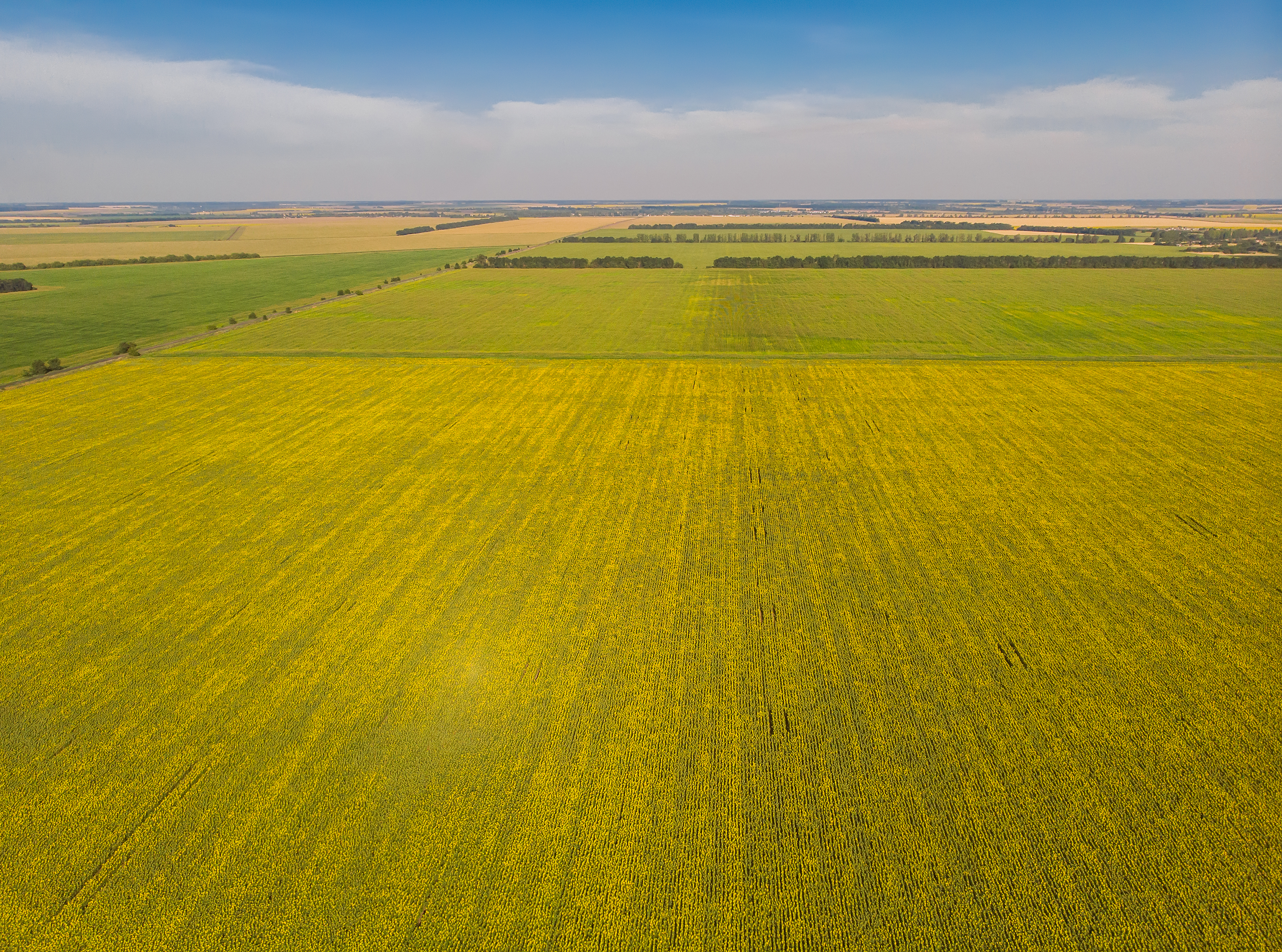 Trevoc Royal Residences